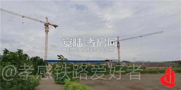 2018082108515342141vs9wsh.jpg 4.jpg