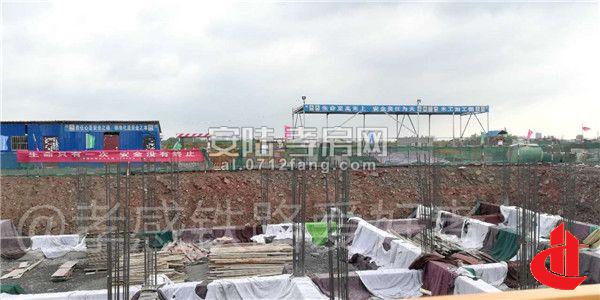 20180821085202612913mnv7x.jpg 5.jpg