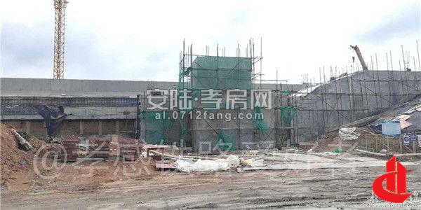 2018082108521683350crmxwp.jpg 7.jpg