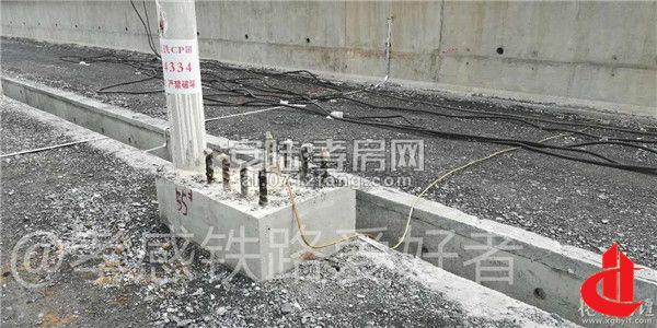 2018082108530718766sjjqvi.jpg 12.jpg