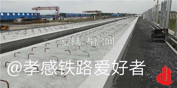 20180821085233701419ckqxk.jpg 9.jpg